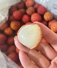 ��˵��ζ����óԵ���֦�������Ҽ����µ���