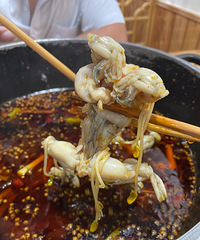 �������������񫣬���������򿨵ĵڶ�������