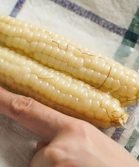 ĴָСİף۶ȿȱŴŴĺܺó