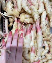 ��������׺��н�ײ���ˣ����۽���ָ��