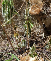 ����������ǣ������ֵĻ������𣿹��˶�����