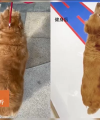 С������˽�̽����ˣ�������10������������Ŭ��