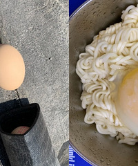 趁着阳光给力,工地楼顶做个太阳蛋