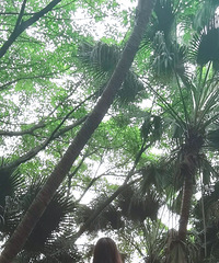 91��157CM�Ĺ������С������飬ϣ���Է�����165����