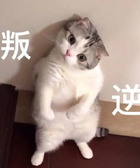 �����и����涼ͦ�����ģ�����������û���Ķ�