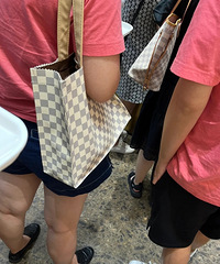 咱就是说早上的轻轨,一下子就偶遇了这么多LV棋盘格…