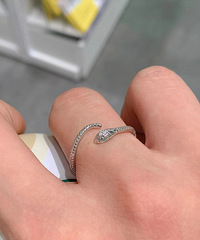 С�ɾ��£�����ϸ��С����ҲOK�Ľ�ָ