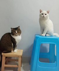 36���С������飬ϣ���Է�����170����