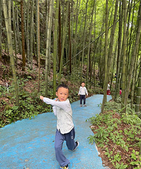 避暑的那件小事