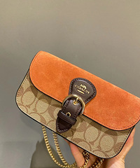 Coach ���µ�Kleoϵ��С��������Ƥƴ���ϻ������ĸ߼�