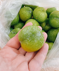 ��ĺ�ϲ����ɽ������Ҳ�9.9һ��