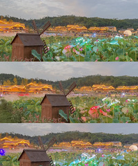 ͺɻõĵطãһ·߶Ҷ