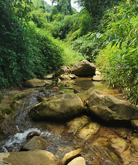 夏天就要去小河沟耍水,一次打探两个免费遛娃地