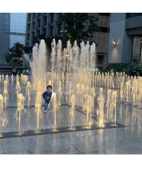 分享看喷泉看夜景吹江风溜娃好地方