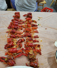 ����һ��С��Ϻ���׷����������Ҿ�Ȼ�ֲ�����