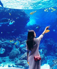 92��160CM�Ĺ������С������飬ϣ���Է�����172����