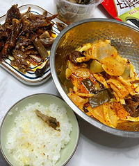 ������ʳ����������˺���˺��Ѽ�����ʺ����˰�~