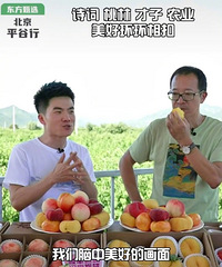 东方甄选一个月卖6.05亿,直接把直播间搬到果园了