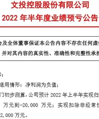 Ӱ�ӹ�˾2022���걨����������