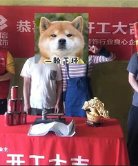 喜欢把一切事都做到细致,装修也是
