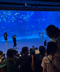 夏天带娃必去的地方(重庆汉海海洋公园和水世界)