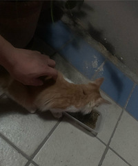 92年171CM事业单位的金牛座小哥征婚,希望对方孝顺有爱心