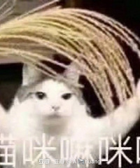 最新!重庆这些区域即将征地拆迁
