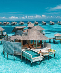 ȫ�����иУ����˻��ڣ���������ڣ���