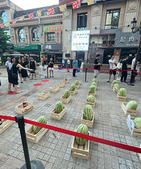 ��������������е���˼����ѳԹϣ�ơ�Ƴ���