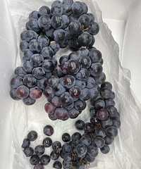 ��ƴ���������ѣ����������İɣ����Ѿ��ǿ���һ��һ��