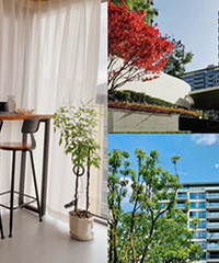 ϰ2СʱҲҪ20װ120ƽ