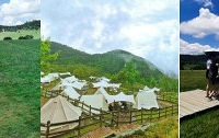 带娃轻松拎包露营,夏季完美度假胜地,耍事很多
