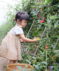 40°也要去摘菜、赏荷