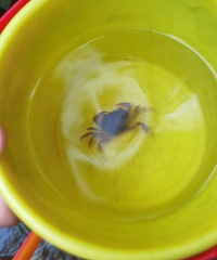 渝北区这个玩水露营地居然自带天然空调!吹出来的风凉飕飕的