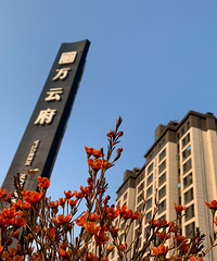 预算43万装西永万云府128平,不到3万搞定中央空调1拖5