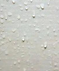 你们都喜欢闻什么怪味?我喜欢霉味