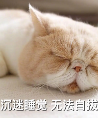 大家都几点上班啊?有8点上班的吗
