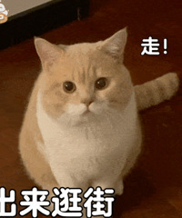 为什么服装实体店如此惨淡?是因为大家都热爱网购吗?