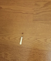 װ޹ֱӰͷľذϣذ˸