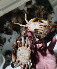 ȥϴˣˮзջֱҪ̫ḻ