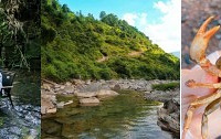 小众、水清、免费 老少皆宜,重庆耍水合集来了