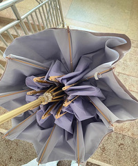 Ҫҫ򵽵̫ɡһɡúÿ