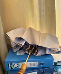 Ҫҫ򵽵̫ɡһɡúÿ