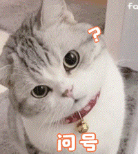 你最多会花多少钱买一条内裤?我买过最贵的是200多块钱的