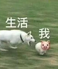 目前我们还负债,老婆刚生完孩子,一定要买一个LV包,怎么办?