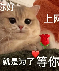 ֵﴨܺڿ5039Ůͯ׿234