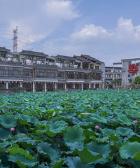 ����ɽ��������������ɫȷʵ���˶�Ŀһ��