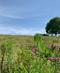 92��158CM������ҵ���������飬ϣ���Է���������