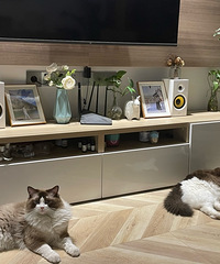 95��170CM��3ֻè�������������飬ϣ���Է�23~28��