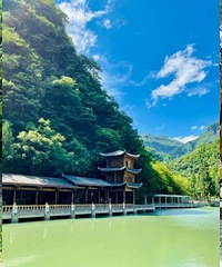 仙女山避暑1个月了,环境好还凉快